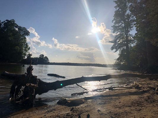 Lake Wylie