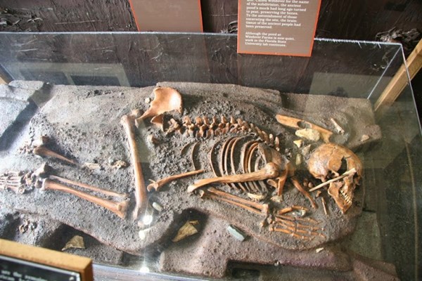 Brevard Museum of History and Natural Science