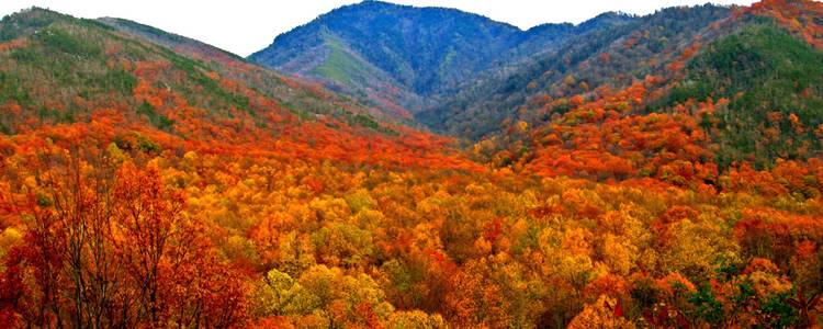 Smoky Mountains National Park
