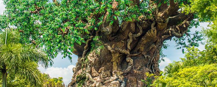 Disney's Animal Kingdom