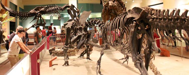 National Museum of Natural History