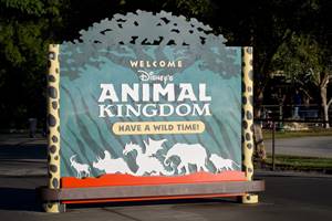 Disney Animal Kingdom Facts