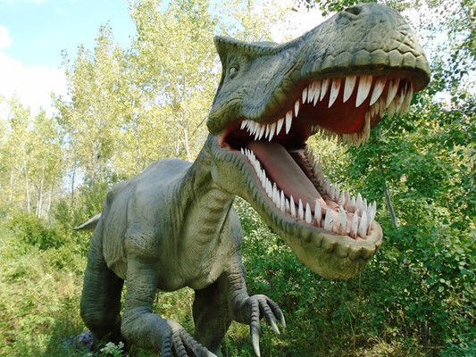 Field Station: Dinosaurs Field Station: Dinosaurs