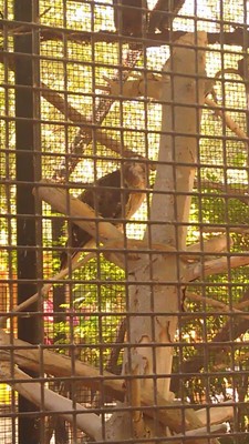 Cosley Zoo Cosley Zoo