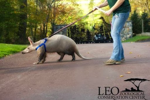 LEO Zoological Conservation Center LEO Zoological Conservation Center