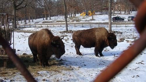 Lords Park Zoo Lords Park Zoo