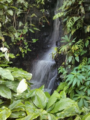 Missouri Botanical Garden Missouri Botanical Garden