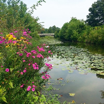 Forest Park Forest Park