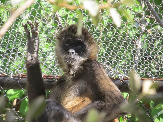 The Chattanooga Zoo at Warner Park The Chattanooga Zoo at Warner Park