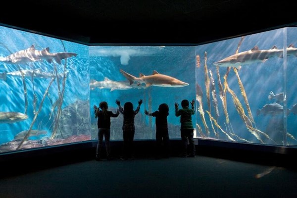 The Maritime Aquarium at Norwalk The Maritime Aquarium at Norwalk