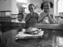 The Chesapeake Children's Museum The Chesapeake Children's Museum