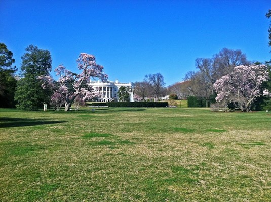 President's Park President's Park