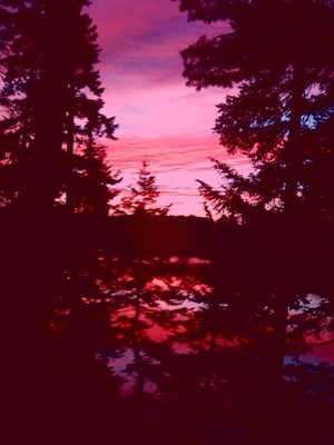 Mount Desert Campground Mount Desert Campground