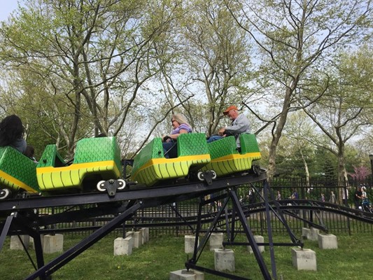 Fantasy Forest Fantasy Forest