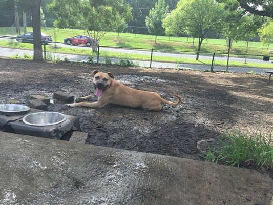 Fort Barnard Park Fort Barnard Park