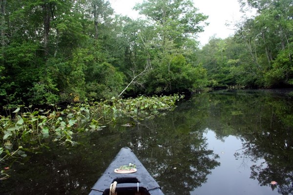 Shad Landing State Park Shad Landing State Park