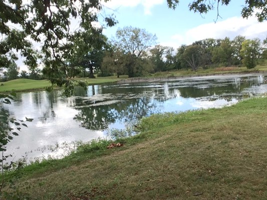 Kingswood Park Kingswood Park