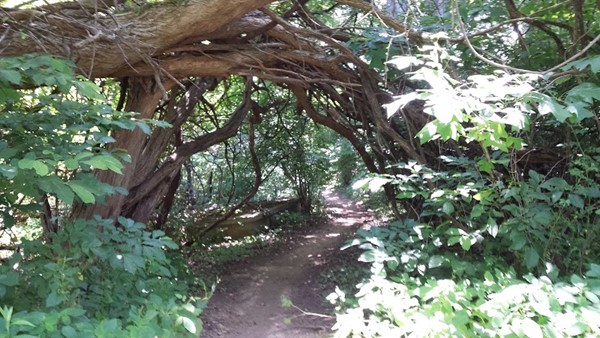 Paper Mill Park Paper Mill Park