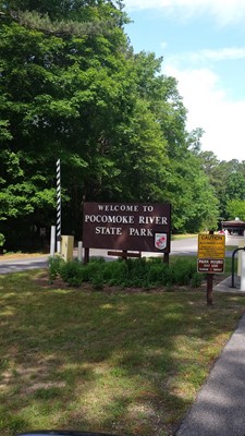 Pocomoke River State Forest Pocomoke River State Forest