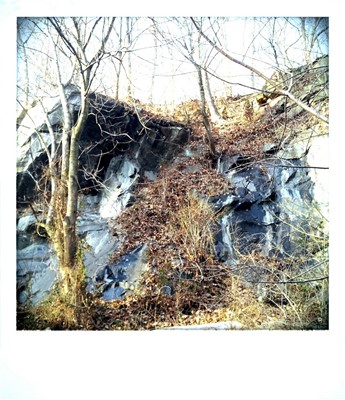 Alapocas Run State Park Alapocas Run State Park