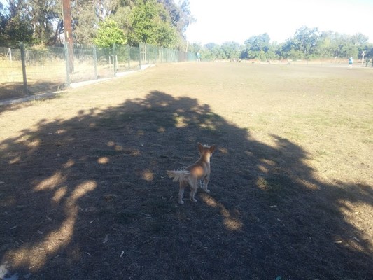 Watson Park Watson Park