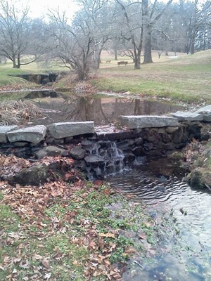 Valley Garden Park Valley Garden Park