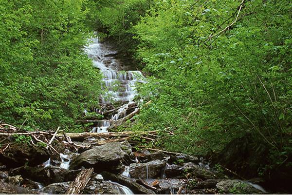 Money Brook Falls Money Brook Falls