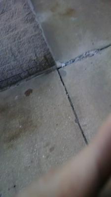 Holy Trinity Greek Orthodox Church Holy Trinity Greek Orthodox Church