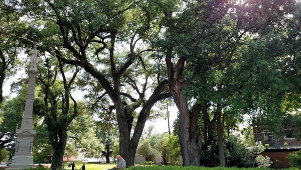 Dawn Withrow Dawn Withrow