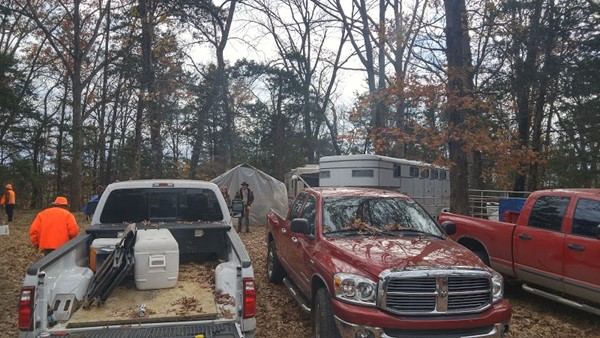 Hayely Queen Hayely Queen