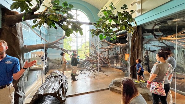 Hamill Family Play Zoo Hamill Family Play Zoo